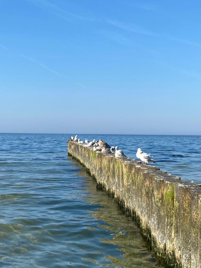 Apartament Kolobrzeg Resort ภายนอก รูปภาพ